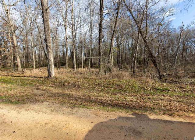 Property at 0 River Oaks Landing Cir #42, Orrville, AL 36767