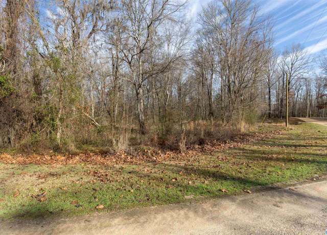 Property at 0 River Oaks Landing Cir #43, Orrville, AL 36767