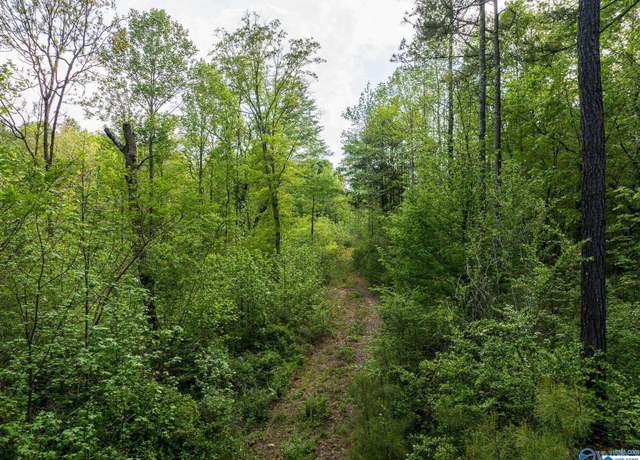 Property at 9.10 acres Pleasant Grove Rd #0, Horton, AL 35980