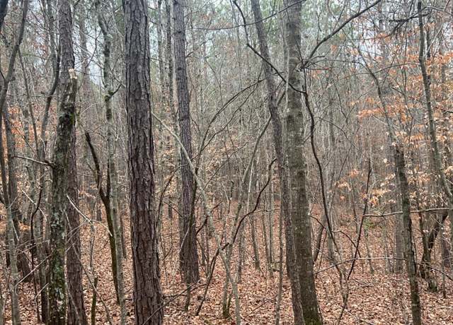 Property at 12.4 +/- County Road 823 Lot 3, Wadley, AL 36276