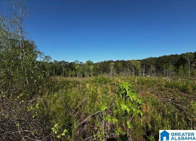 Property at 14875 Highway 431 Unit 20 ac, Wedowee, AL 36278
