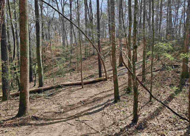 Property at 0 Hammock Rd #0, Trussville, AL 35173