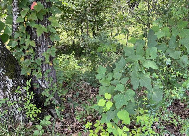Property at 1401 Pridmore Rd #0, Quinton, AL 35130
