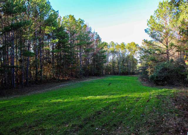 Property at 1 County Rd #1, Lynn, AL 35575