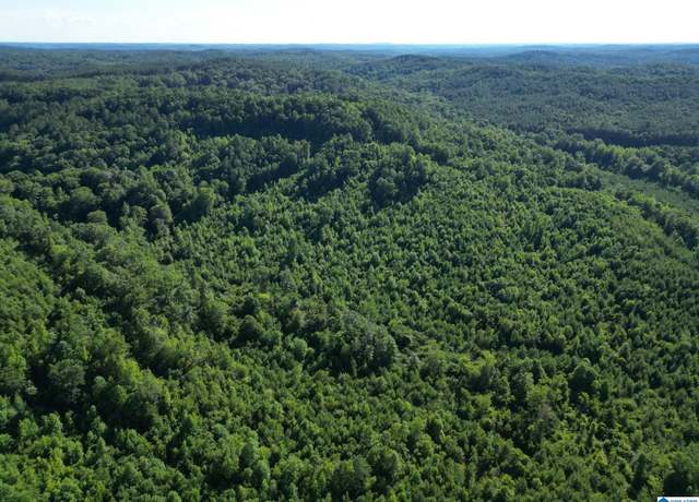 Property at 00 Nubbin Ridge Ln Unit N/A, Carbon Hill, AL 35549