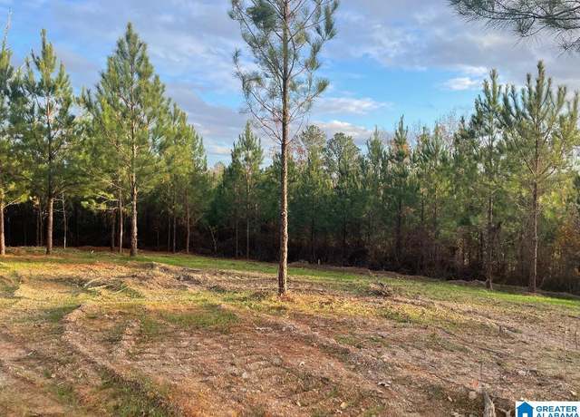 Property at 220 Saddlewood Trails Pkwy #1, Columbiana, AL 35051