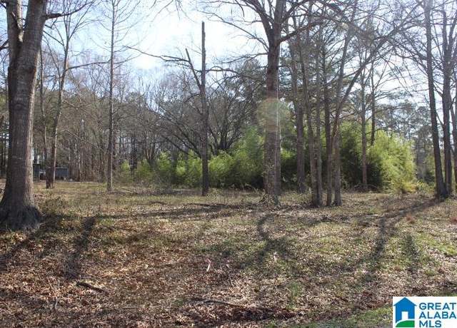 Property at Cove Rd #20, Wilsonville, AL 35186