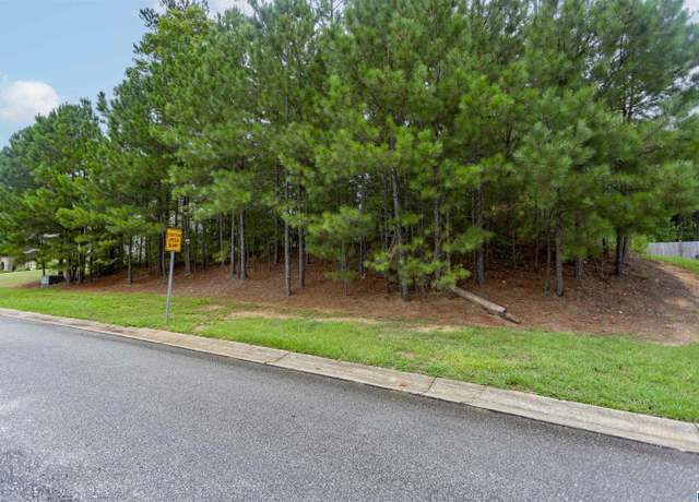 Property at 293 Woodbridge Trl #63, Chelsea, AL 35043