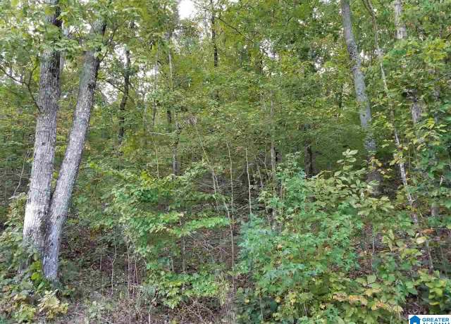 Property at Waldrop Rd Unit 5 & 6, Ashville, AL 35953