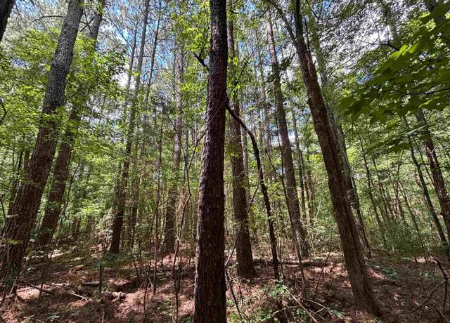 Property at 0 County Road 42 Unit 90+/- Acres, Oneonta, AL 35121