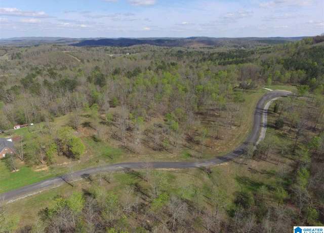 Property at 523 Stone Ridge Dr Unit 23, 24, & 25, Springville, AL 35146
