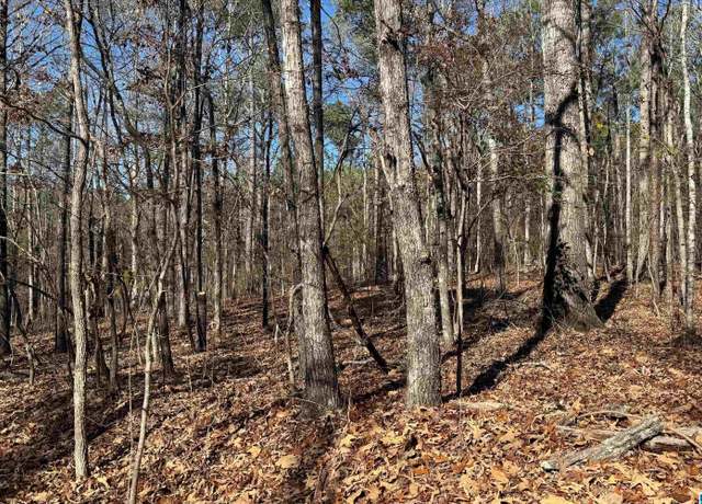 Property at Lot 43 Beach Island Trce #43, Dadeville, AL 36853