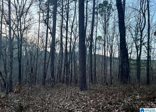 Property at 00013 Shady Grove Rd Unit 13 & 14, Talladega, AL 35160