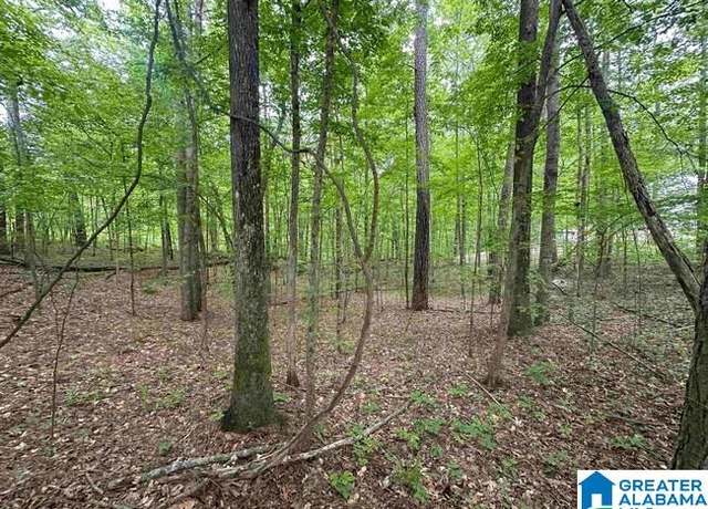 Property at 0 Timber Trl Unit 674 & 675, Warrior, AL 35180