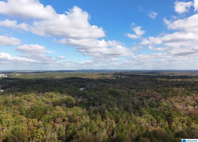 Property at 0 Limestone Dr Unit Metes and Bounds, Calera, AL 35040