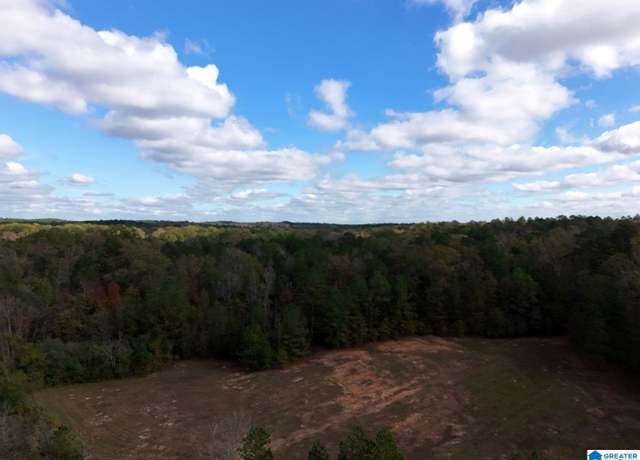 Property at 0 Limestone Dr Unit Metes and Bounds, Calera, AL 35040