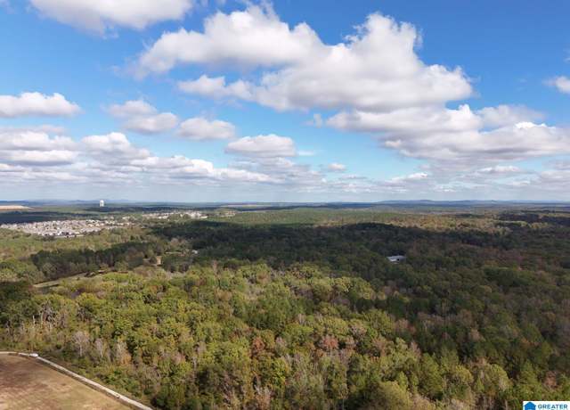 Property at 0 Limestone Dr Unit Metes and Bounds, Calera, AL 35040