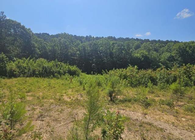Property at 0 County Road 12 #0, Odenville, AL 35120