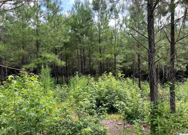 Property at 00 Cahaba Hill Rd Unit N/A, Brierfield, AL 35035