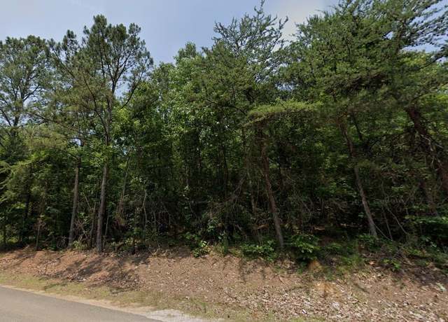 Property at 00 Bama Rock Garden Rd #0, Vance, AL 35490