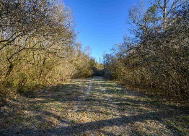 Property at 0 County Road 216 #2, Dodge City, AL 35077