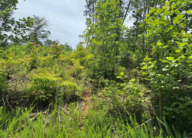 Property at 0 County Road 214 #39, Delta, AL 36258