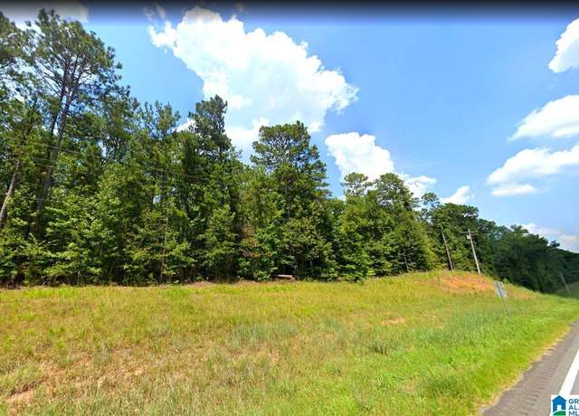 Property at 0 Al Highway 22 #0, Rockford, AL 35136