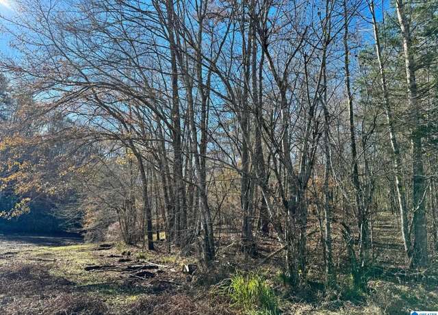 Property at County Road 7 #0, Wedowee, AL 36278