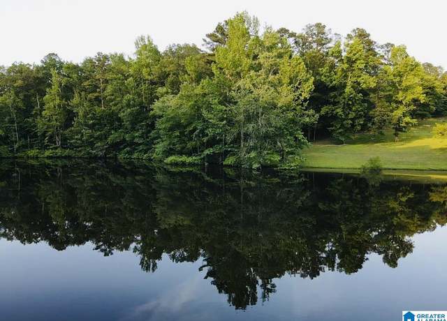Property at Hollys Ln #0, Riverside, AL 35135