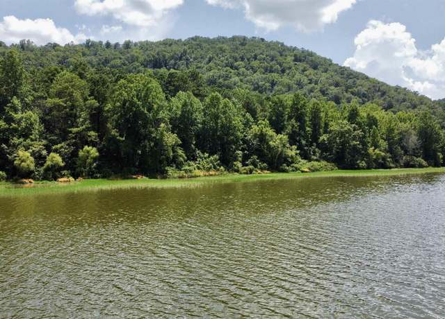 Property at 148 acres County Road 21 Unit 2 parcels, Ashville, AL 35953