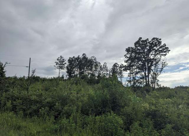Property at 0 Vaughn Rd #0, Trafford, AL 35172