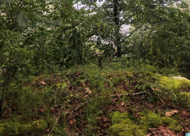 Property at 1231 Shortown Branch Rd #0, Bessemer, AL 35023