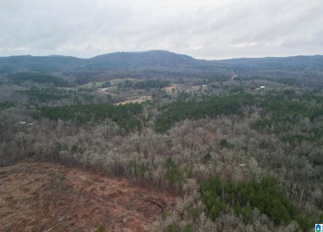 Property at 0 Highway 49 #0, Lineville, AL 36266