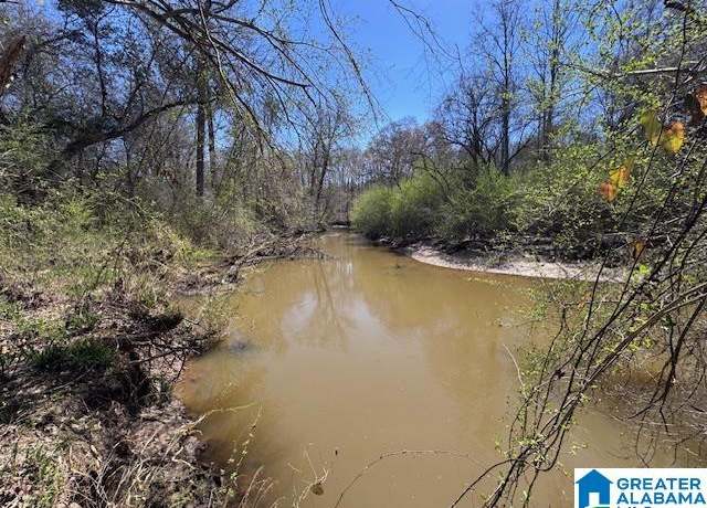 Property at County Road 684 Unit 63 Ac., Roanoke, AL 36274