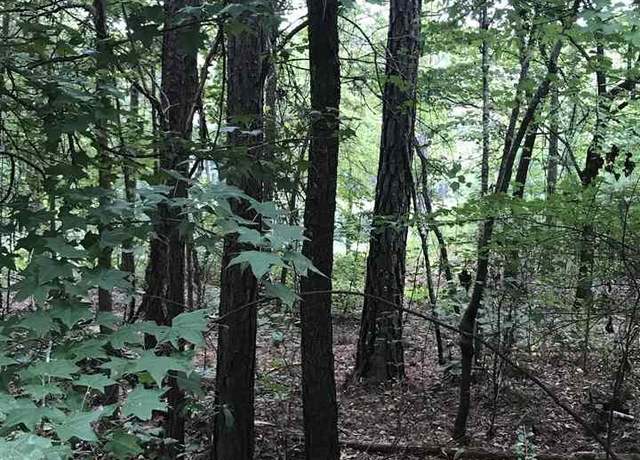 Property at Lakeside Ln #25, Alpine, AL 35014