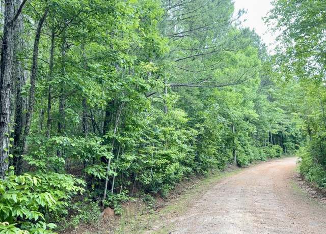 Property at 0 County Road 645 #1, Roanoke, AL 36274