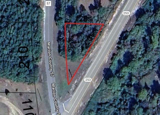Property at 0 State Highway 253 #0, Brilliant, AL 35548