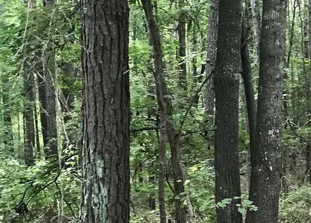 Property at Lakeside Ln #19, Alpine, AL 35014