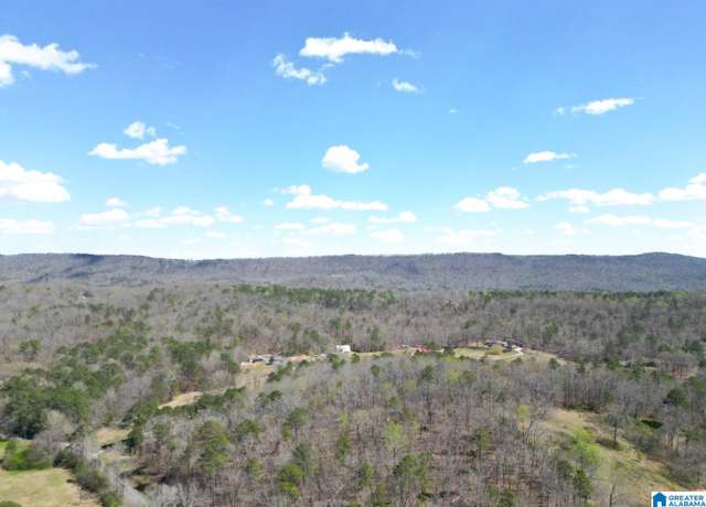 Property at 1931 Red Valley Rd, Remlap, AL 35133, 5 beds, 3 baths