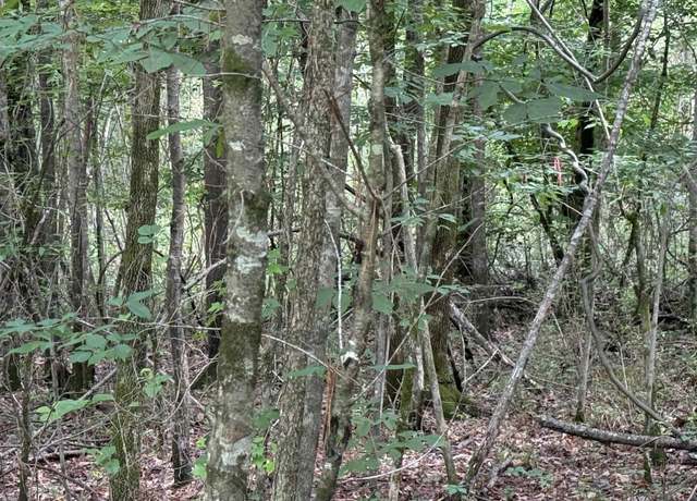 Property at 0 Eastview Ave #0, Hokes Bluff, AL 35903