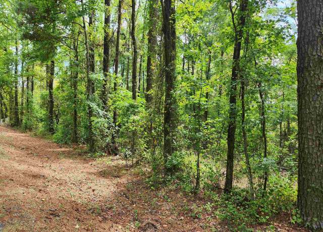 Property at W County Road 10 #00, Montevallo, AL 35115