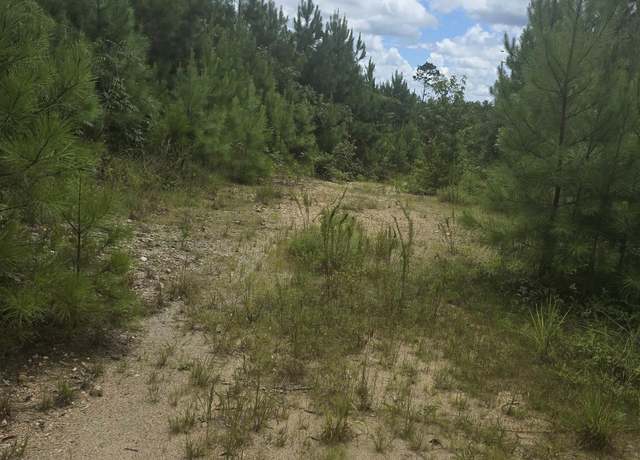 Property at 001 County Road 256 #1, Clanton, AL 35045