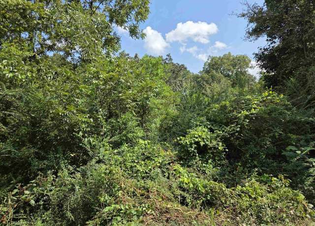 Property at 0 Finley Ave #8, Sylacauga, AL 35150