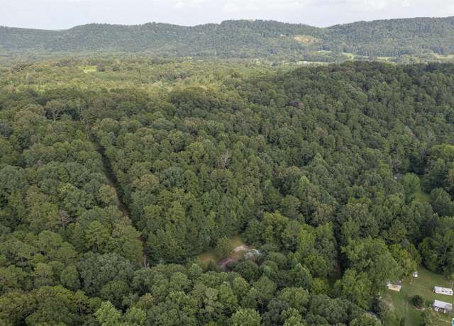 Property at 160 Mill Hill Rd, Attalla, AL 35954, 3 beds, 2 baths