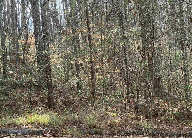Property at 00 Woodland Hills Dr Unit 9 & 11, Springville, AL 35146