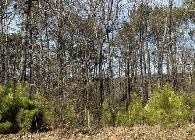 Property at 11 Woodland Hls #11, Springville, AL 35146