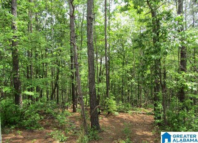 Property at 0 Allred St #1, Oxford, AL 36203