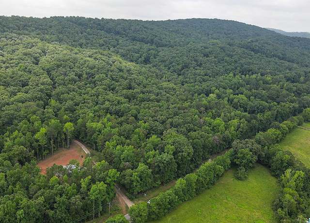 Property at Lot 1 Highway 25 Lot 1, Columbiana, AL 35051