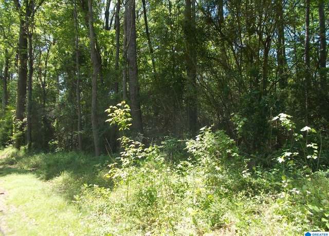 Property at 71 Swindle Dr #1, Adamsville, AL 35005