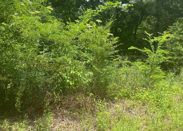 Property at 0 Jean Ridge Ln #6, Odenville, AL 35120